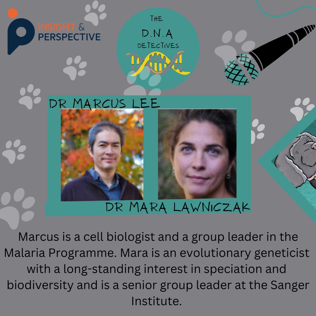 The DNA Detectives tweet media