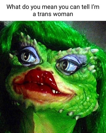 Michaelzilla tweet media