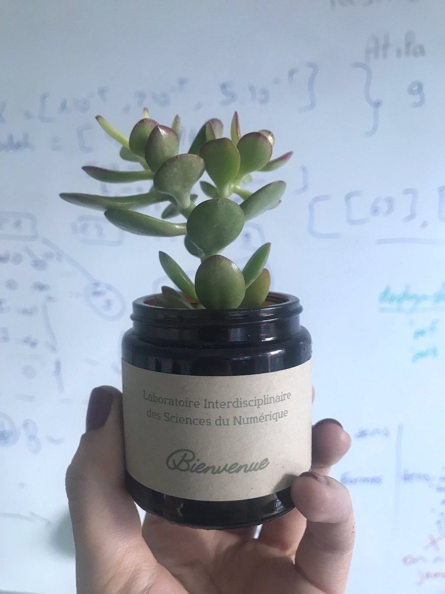 Sinon, au <a href="/LisnLab/">LISN</a>, on a des succulentes en cadeau de bienvenue et c’est quand même trop la classe ! 🪴👩🏼‍💻