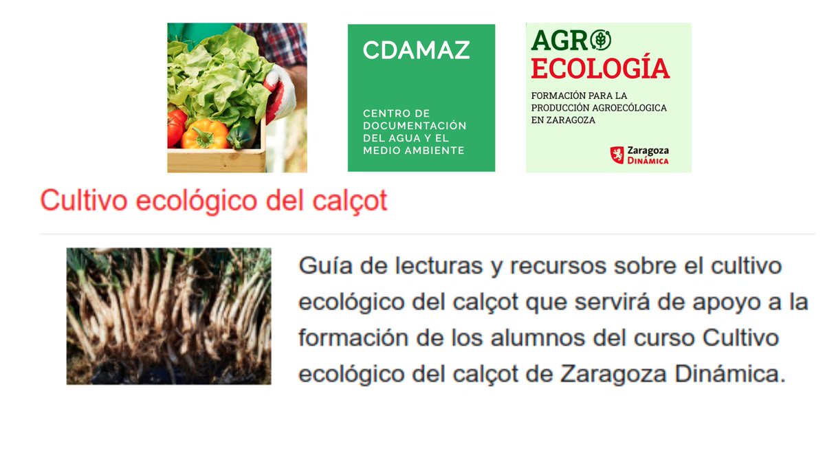 El nuevo curso 'Cultivo ecológico del calçot' de <a href="/ZDinamica/">Zaragoza Dinámica</a>   <a href="/zaragoza_es/">AyuntamientoZaragoza</a>  cuenta con el soporte documental de la biblioteca verde CDAMAZ:

*Guía de lecturas y recursos sobre el cultivo ecológico del #calçot*

▶️zaragoza.es/contenidos/med…

#Formación + #Información + #Agroecología