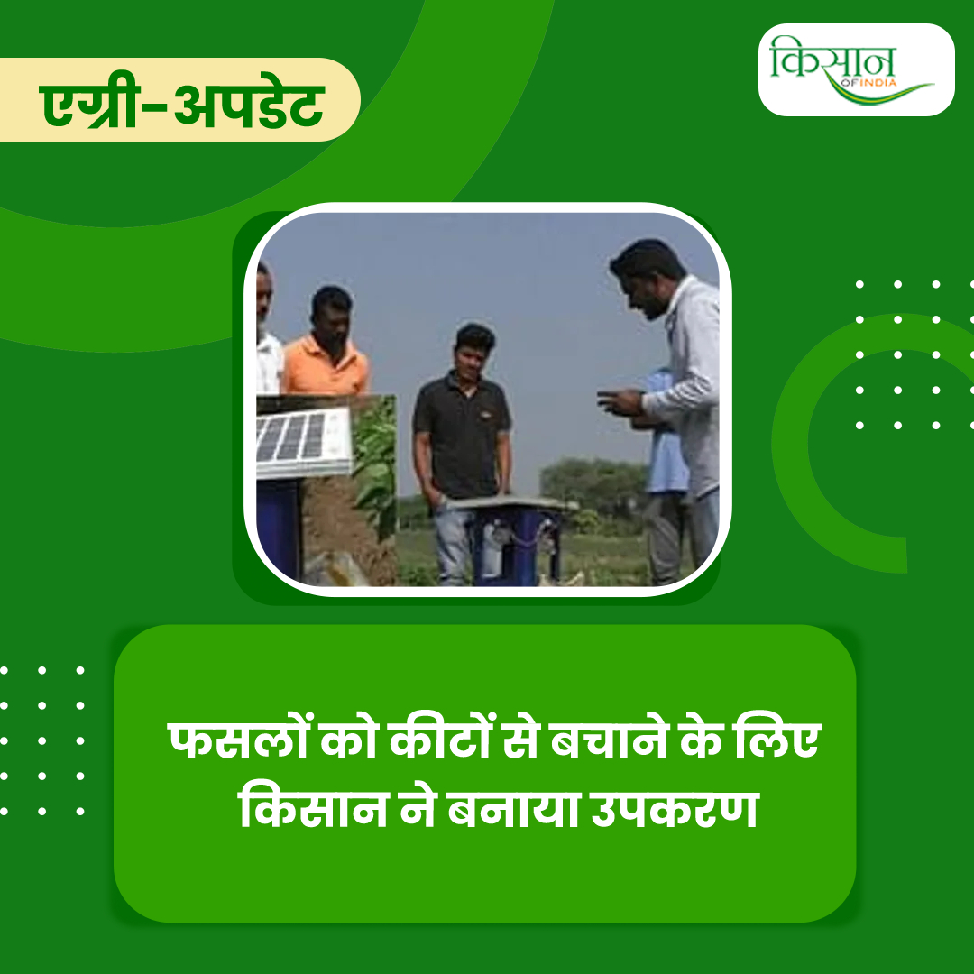 महाराष्ट्र के चंद्रपुर ज़िले के युवा किसान ने मिर्च की फसलों पर लगने वाले ब्लैक थ्रिप्स नाम के कीटों को खत्म करने के लिए सौर ऊर्जा से चलने वाला ब्लू लाइट ट्रैप उपकरण बनाया है। 
#Maharashtra #Farmer #AgriEquipment  #KisanOfIndia #KOICard