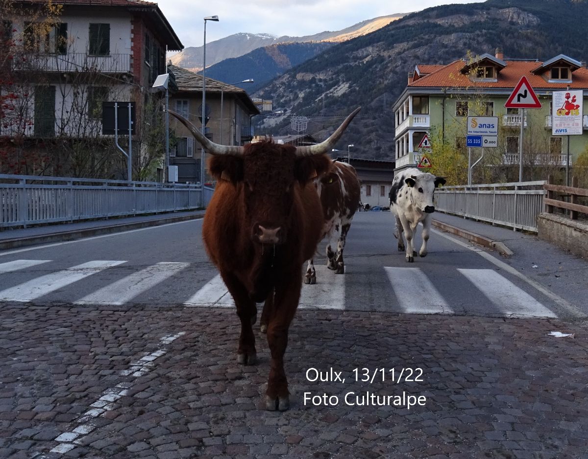 OulxTurismo's tweet photo. SUCCEDE A OULX - LE NEWS DEL 17 NOVEMBRE 2022 - https://t.co/vSxULN8Sth https://t.co/0K8raAH8xh