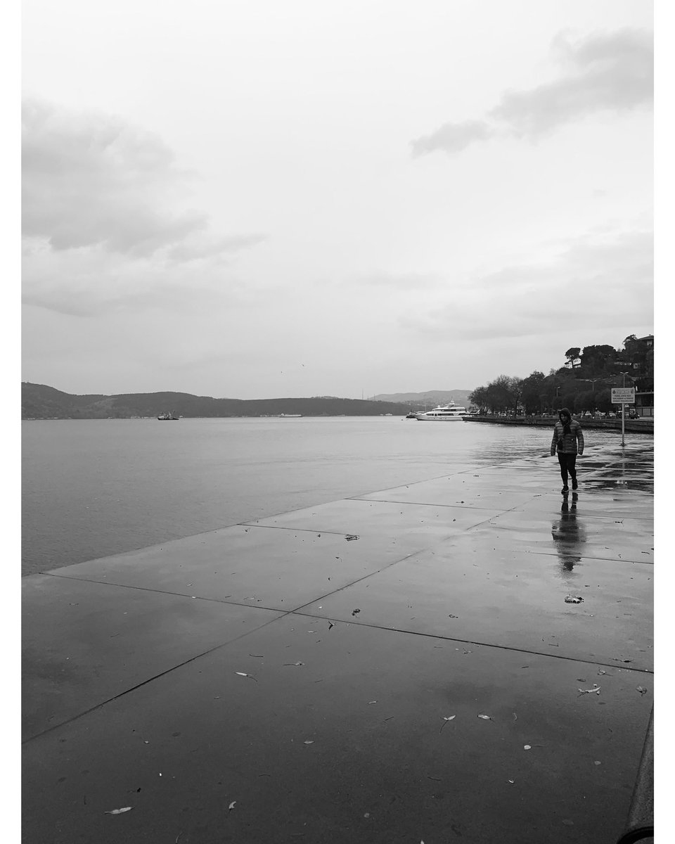 Deniz ve yağmur en sevdiğim.

#digitalphotography #canon18135mm #canon750d #canonphotography #canon18270mm #canon50mm #canon #picoftheday #bnwphotography #bnwphoto #reels #travelphotography #İstanbul #manzara #bnwturk #yagmur #deniz #bosphorus