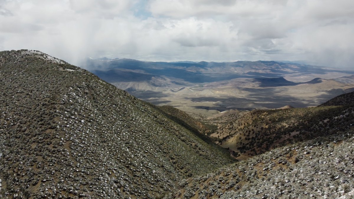 Walker River Resources tweet media