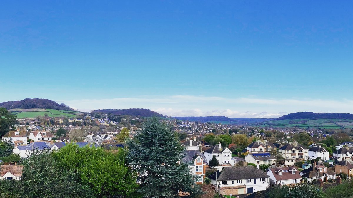 Devon Denizen tweet media