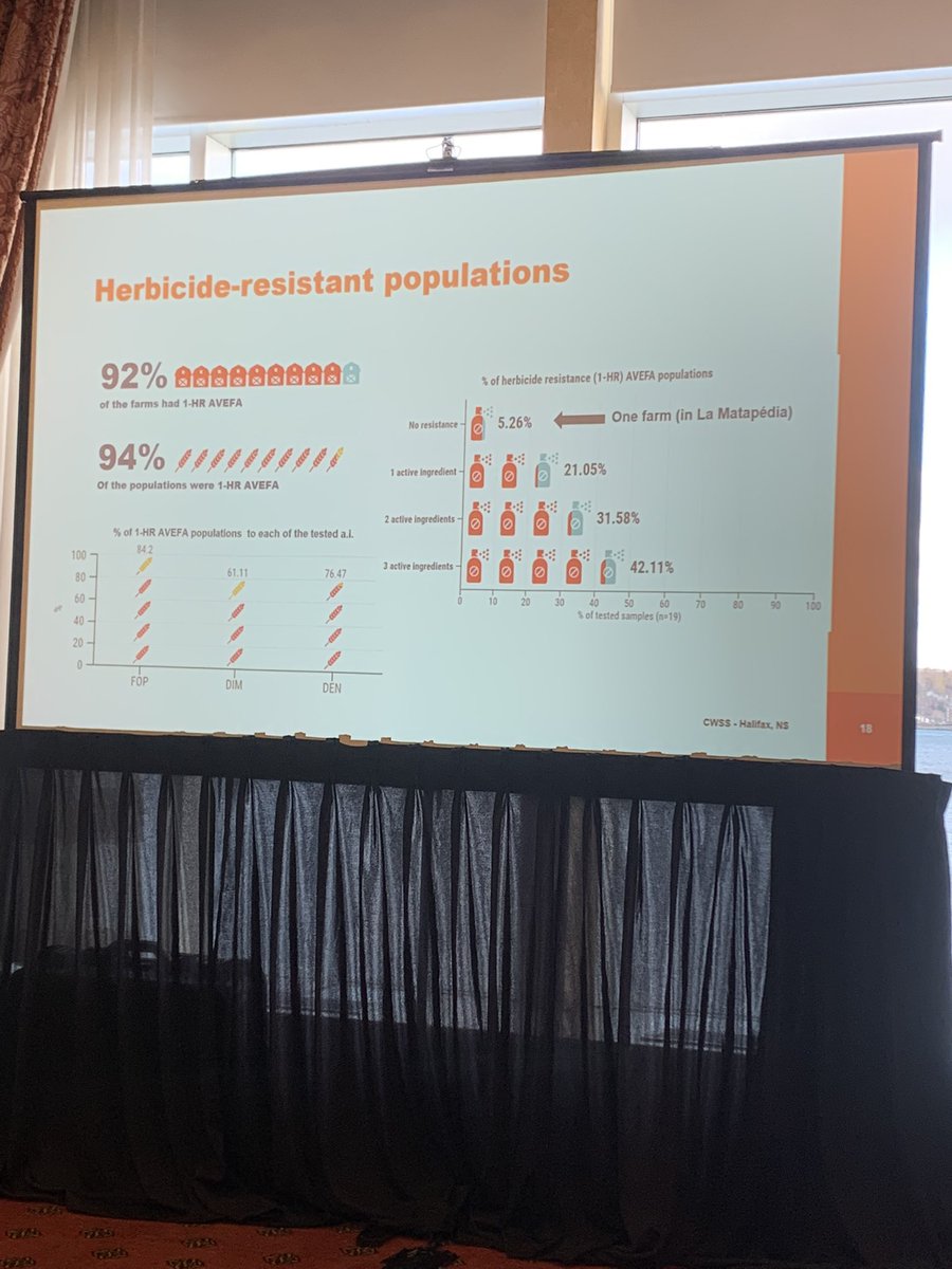 Breanne Tidemann tweet media