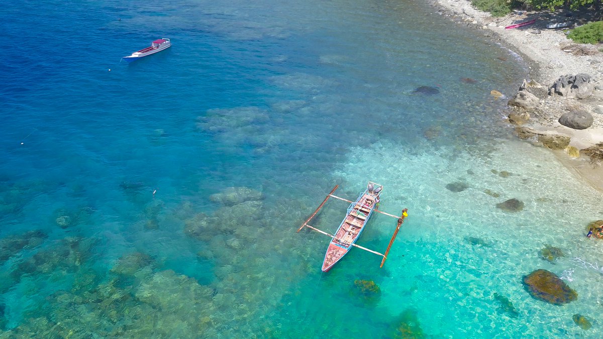 We’re delighted to introduce our new #LTandCExample: “Reviving Timor-Leste’s Reefs Through Tourism.” Read more about the award-winning work of #AtaúroIsland's Local Destination Management Organization #ATKOMA 
ltandc.org/reviving-timor…