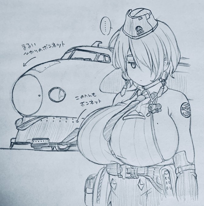 (名前のモチーフこそ「ハイ"ブリッド"」だけど、色合いといい見事な双丘といい、外見のモチーフには「誰もが知ってるあの電車🚅」も入っているのでは…?🤔)と、勝手に疑っている 