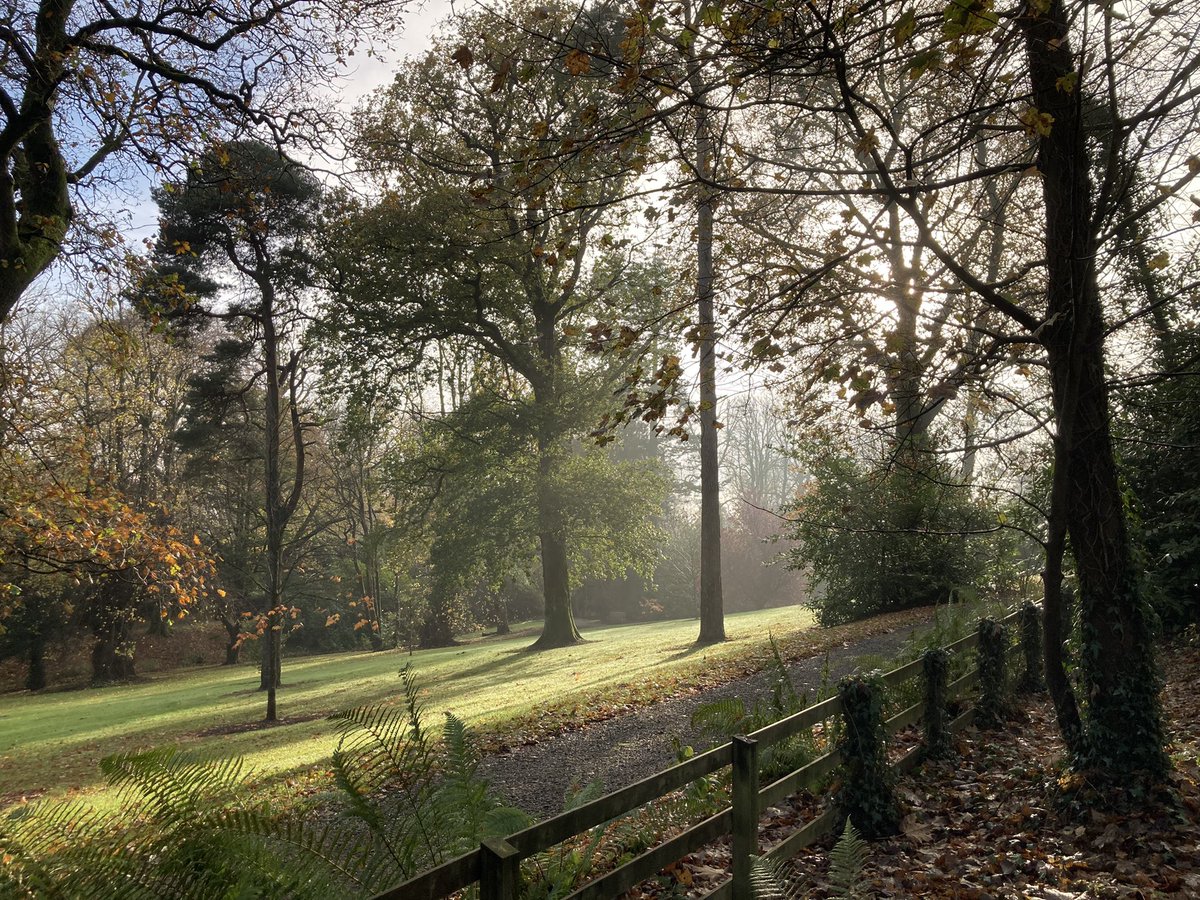 Michael10815345's tweet photo. Montalto Estate Co Down  @angie_weather @Ladiescove @BBCWthrWatchers @WeatherCee https://t.co/SDtg0ck3qQ