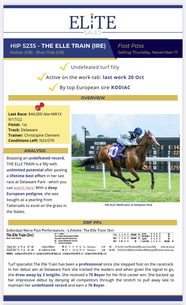 EliteRaceSales's tweet image. Selling today @keenelandsales HORA is the unbeaten Hip 5235 THE ELLE TRAIN (by Kodiac @HoStud)!

She was last seen taking a 1X sprinting on the turf @DelParkRacing on 9/17 to take her record to 2-for-2 (replay below👇🏻). 

Read more about her in her 🛂: eliteracesales.com/wp-content/upl…