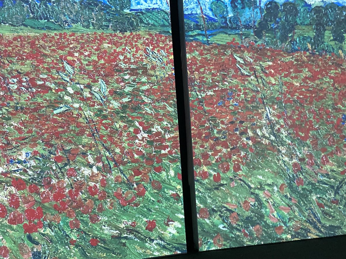 Angela Schofield tweet media