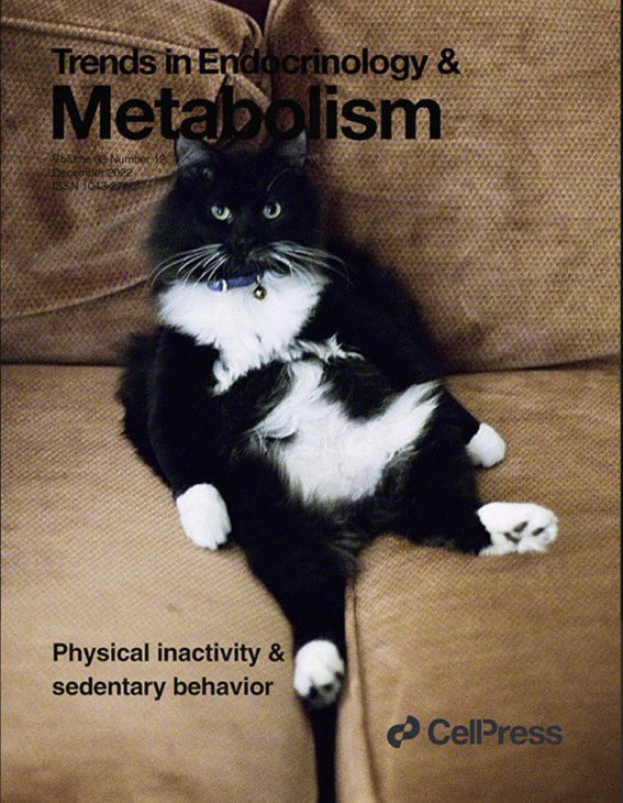 Finally a decent journal cover 😅#catcontent