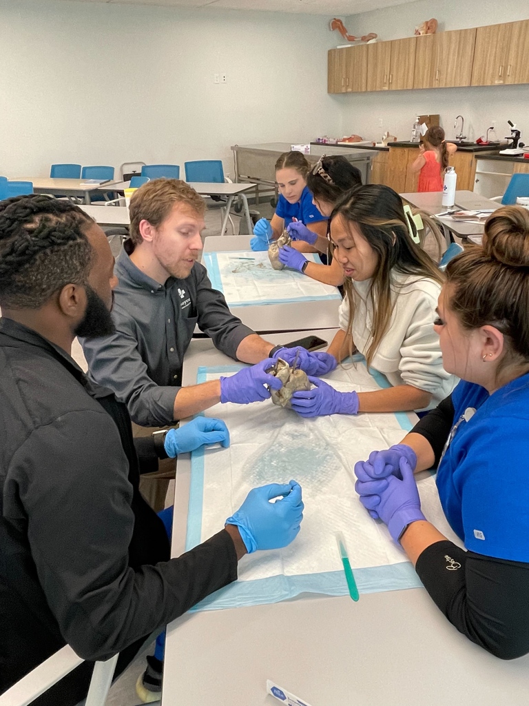 Thank you to our AMAZING professors that give so much of themselves to our students. Their dedication to service and nursing must be passed on.