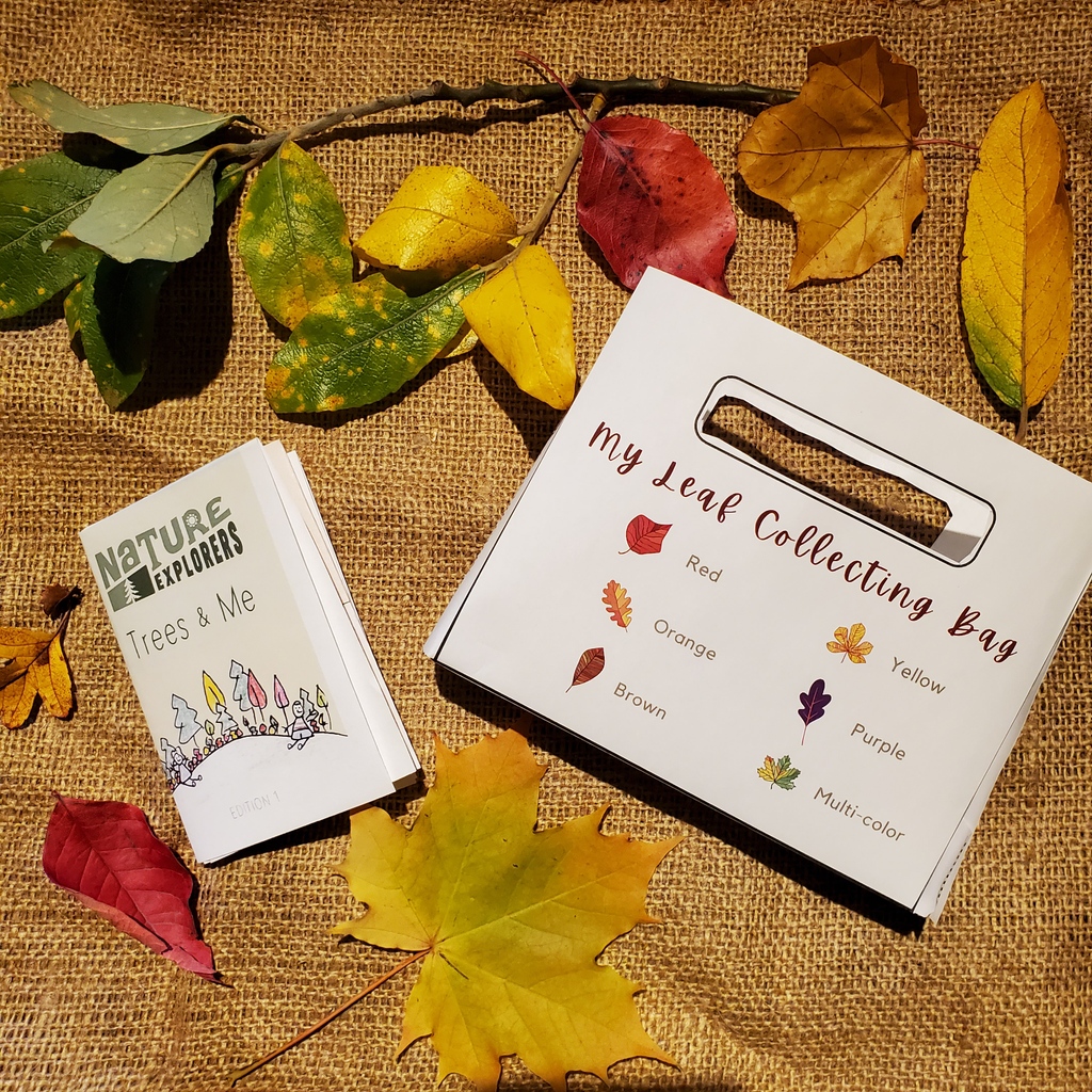 Our 11/19 #FallLeaves craft kit includes 2 activities:

* Video instructions for the leaf collecting bag are available at youtu.be/IZw-E4aMVDA. 
* Video instructions for the Trees &amp; Me zine are available at youtu.be/Upsakm-bUdc

#FallCrafts #PNW #TacomaWA