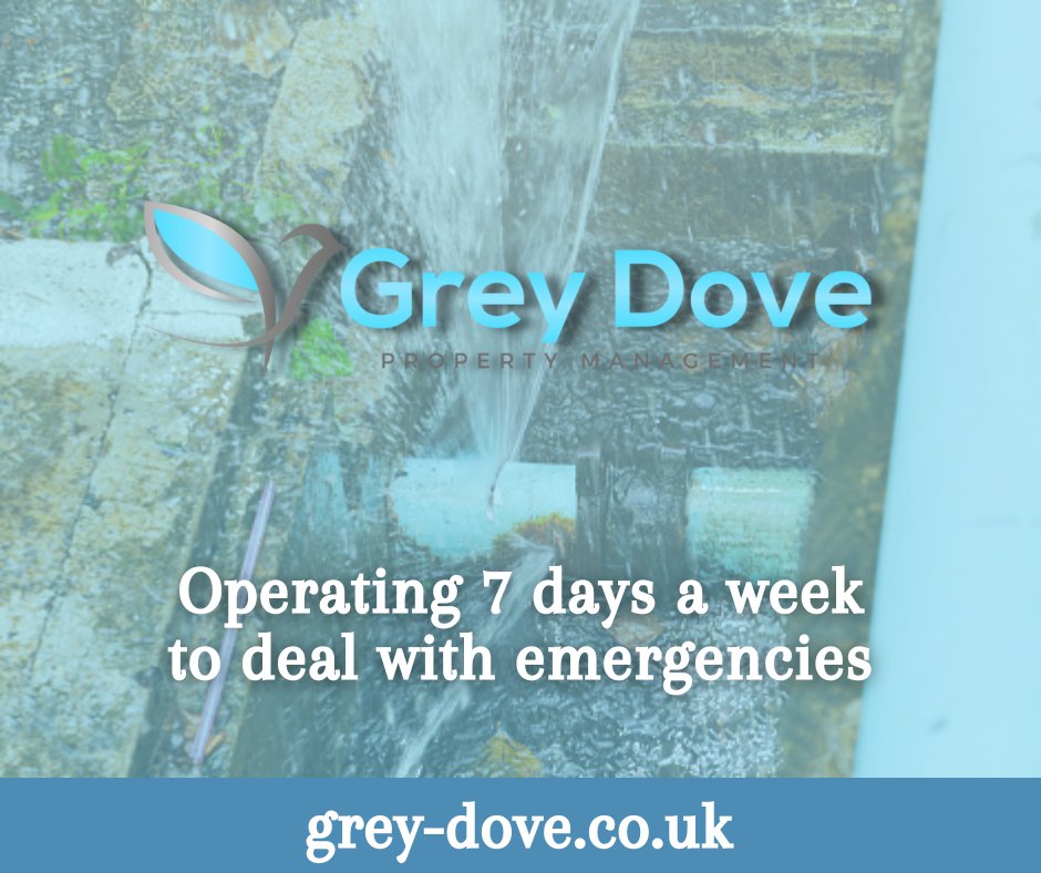 For peace of mind, when you hire us to manage your holiday let, our team will be on hand to deal with emergencies 7 days a week!
-
-
#holidayhome #propertymanagement #holidaycottage #holiday #property #secondhome #holidaylet #staycation #holidayaccommodation #cotswolds