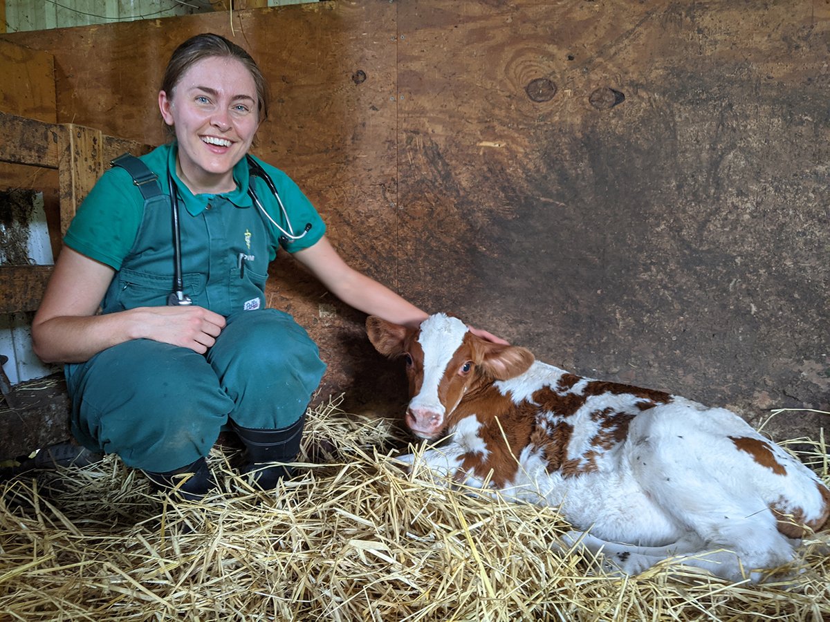 Tweet by Texas A&M VetMed