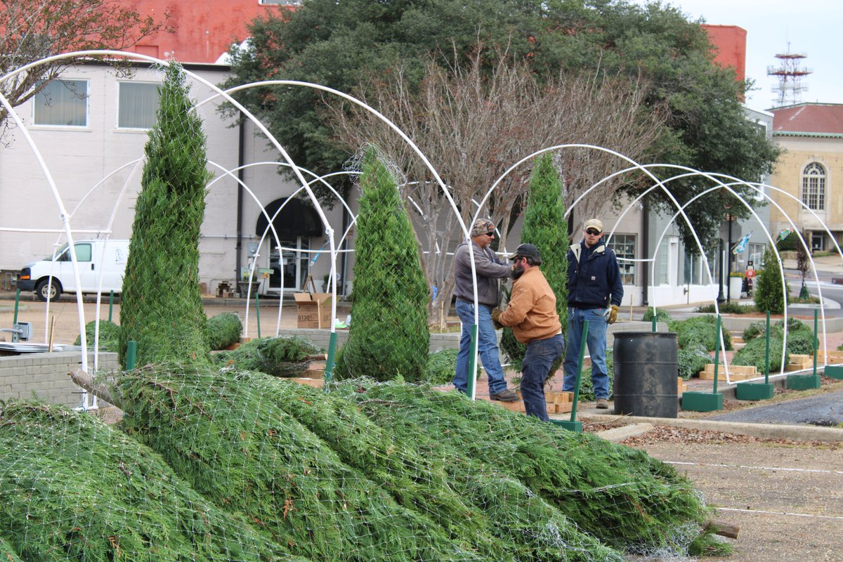 Dixie Electric tweet media