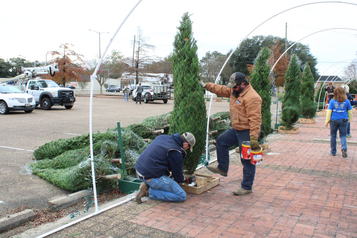 Dixie Electric tweet media