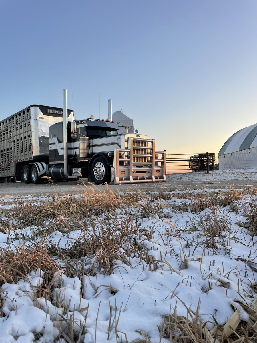 A little snow on the ground atleast makes for a good pic