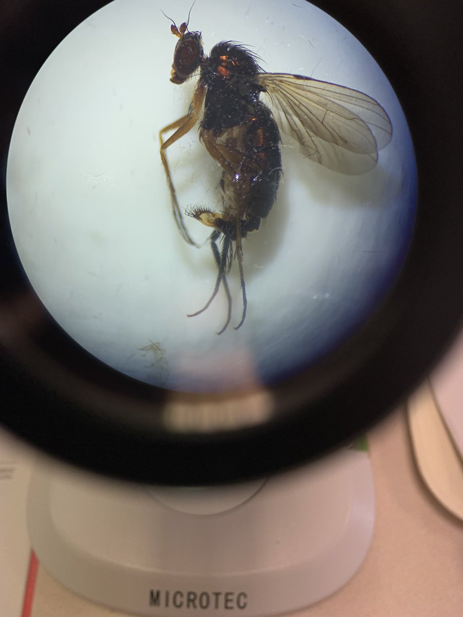 Alex Smart tweet media