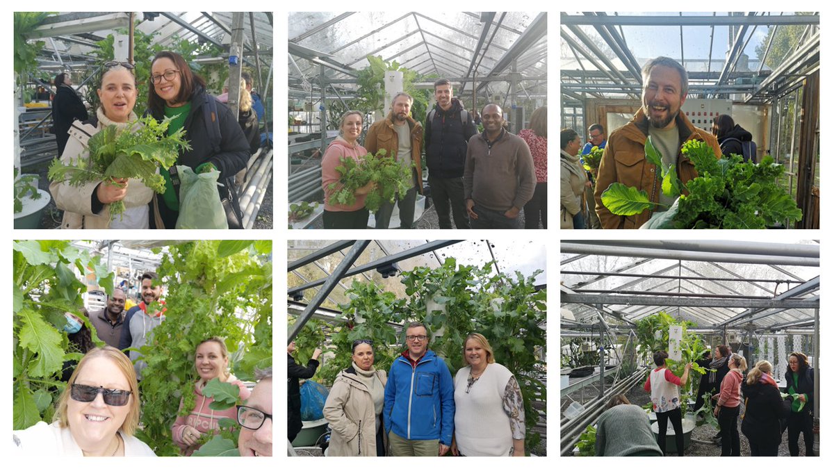 Barbara Doyle Prestwich PhD tweet media