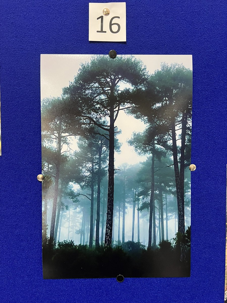 ETSIAMB ALBACETE tweet media