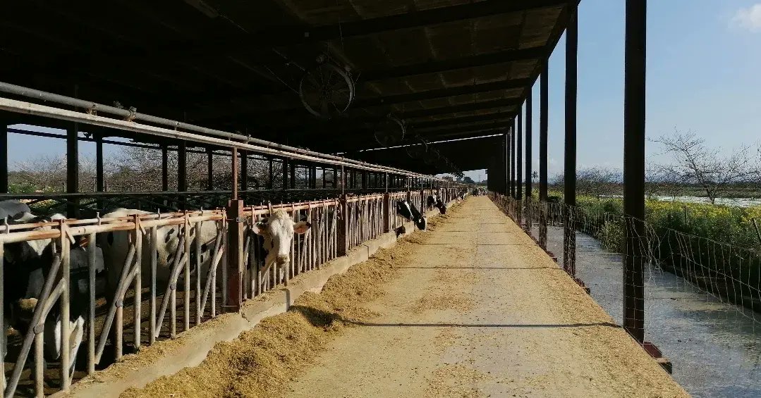 es_cda's tweet photo. L'alumnat de 3rEP del #ceipjoanvenyiclar ha visitat la granja de Son Carbó i després hem anat al CdA Es Palmer per fer el taller de l'hort, els nostres animals i el de brossat😋.
Ens ho hem passat molt bé i han après moltes. 
Gràcies Miquel Vanrell per la teva aportació🥰 https://t.co/OLjiSbfZBz