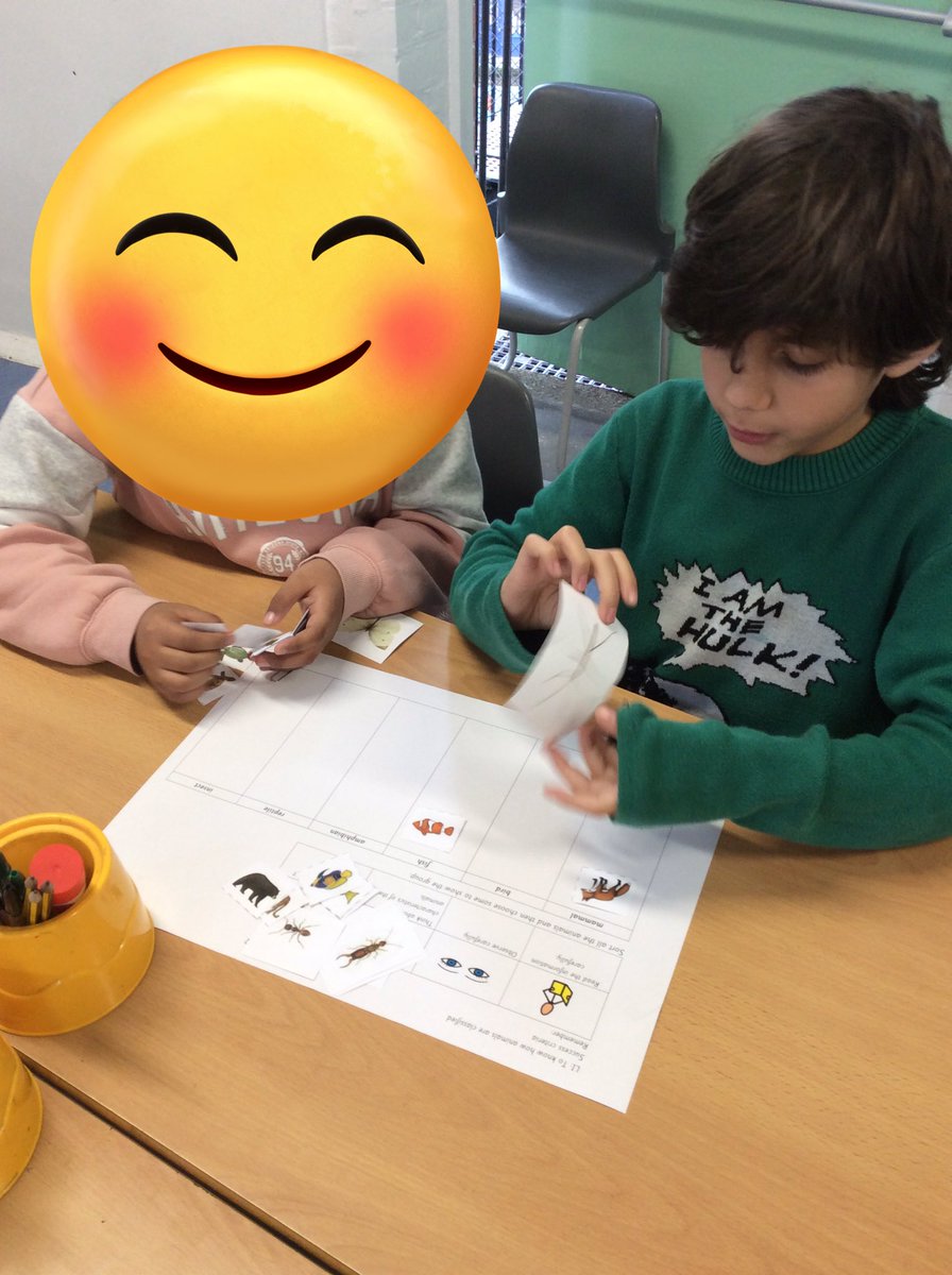 In Science, we are observing animal characteristics and classifying the animals.