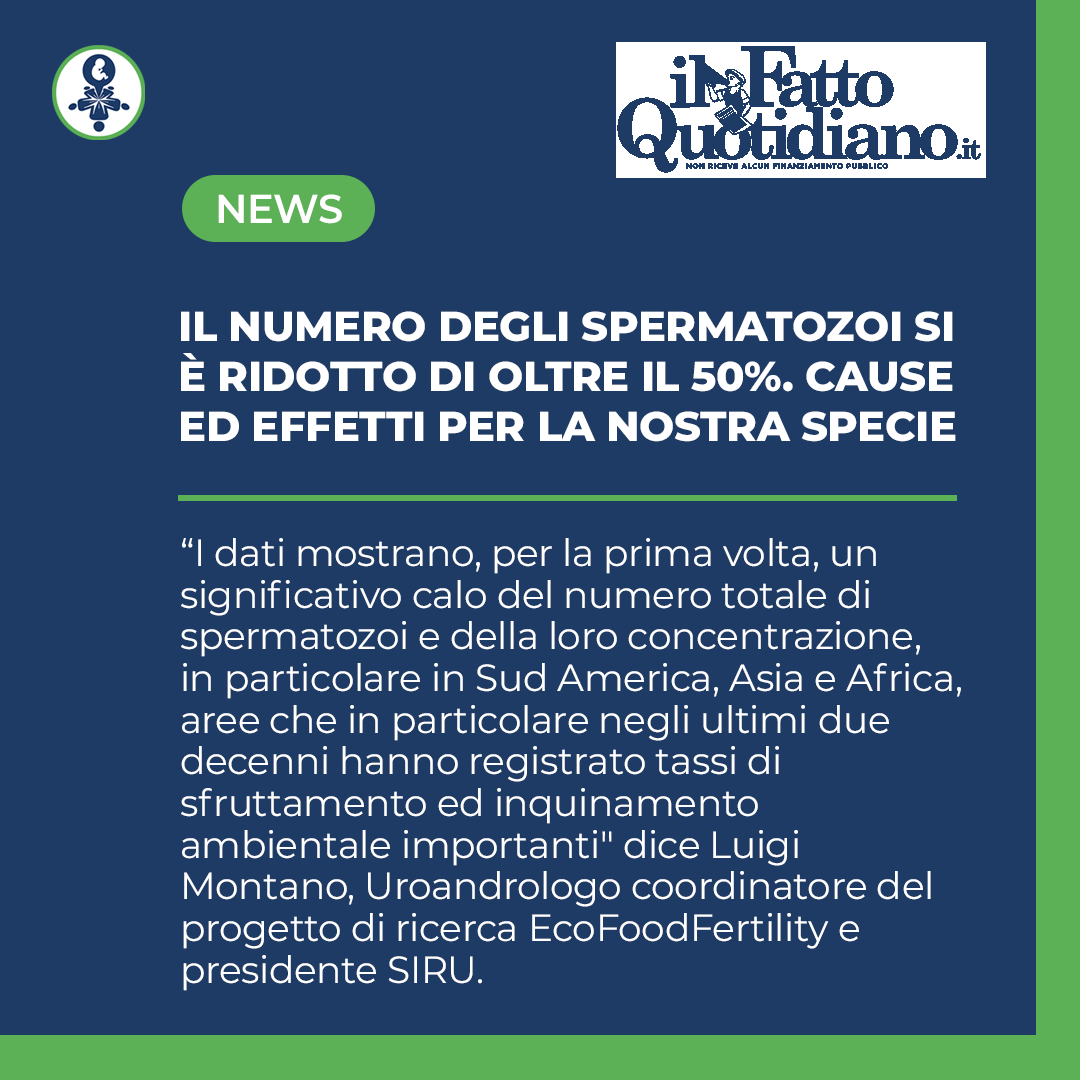 siru_pma's tweet photo. Allarme lanciato da uno studio appena pubblicato su #HumanReproductionUpdate. Montano, presidente #SIRU e coordinatore @ecofoodfert:"Si accumulano evidenze che mostrano peggioramento della qualità del liquido seminale. Fondamentale promuovere cultura della prevenzione." #Androday https://t.co/Cv5F3e6UBu
