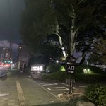 ツイートに含まれる画像