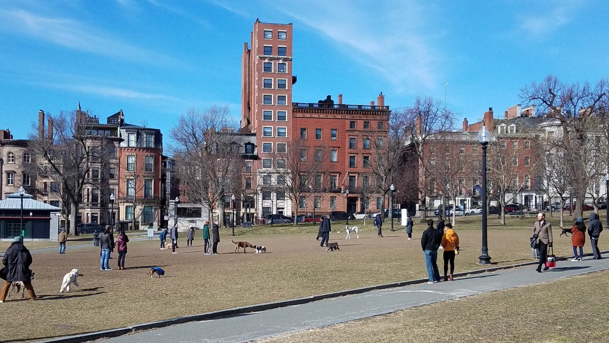 BostonCommonMP's tweet image. After listening to constituents, the Master Plan team proposed to convert the off-leash dog areas into an enclosed dog recreation area, increasing safety, reducing maintenance efforts, and limiting conflicts with event areas. 

Let us know your thoughts at bostoncommonmasterplan.com