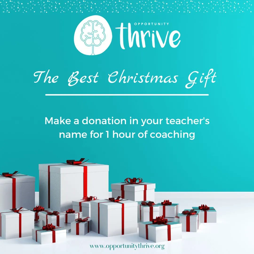 Give a meaningful yet effortless gift for Christmas!  Includes a handwritten card tailored to your needs from Opportunity Thrive mailed to you right away!  Contact Kelly at kslager@opportunitythrive.org for more questions!