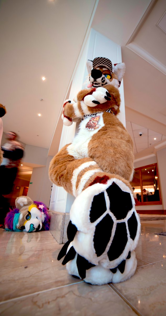 Such a good boy

Maker✂️: <a href="/PNWorks/">↠ Pin & Needle Works ↞</a> 
Owner: <a href="/AtlasInu/">Atlas //ENDWALKER ✨</a> 
Model: <a href="/INKStudioss/">=✯ Ink ✯=</a>