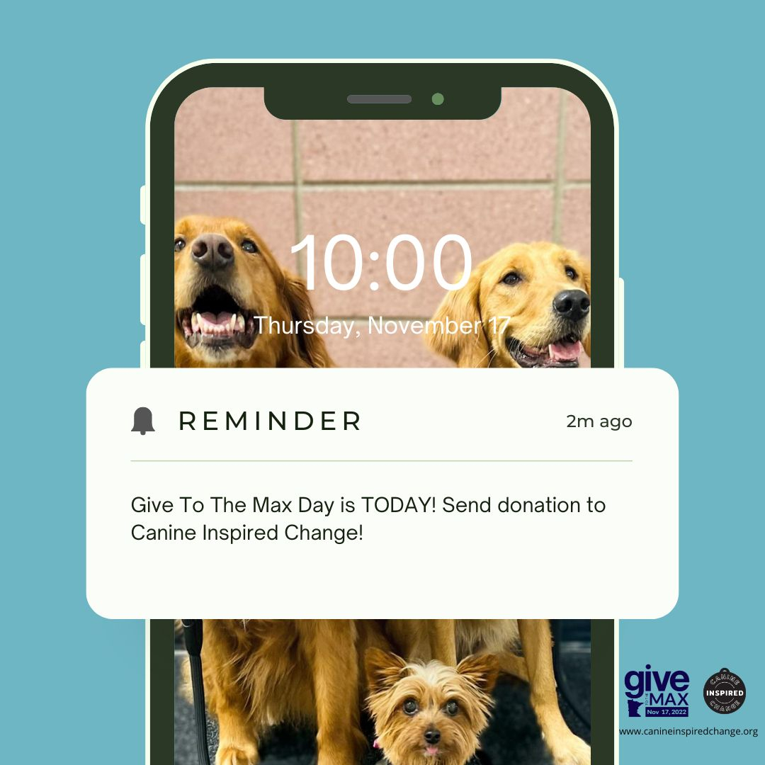 TODAY IS GIVE TO THE MAX  DAY!
Now more than ever it is important that we come together as a community to reach our goal for #gtmd22!!
Check out our amazing matching donors to double your donation throughout the day!
Connies Creamy Cone
Superior Labb
The Ovshak Family
The Maher F