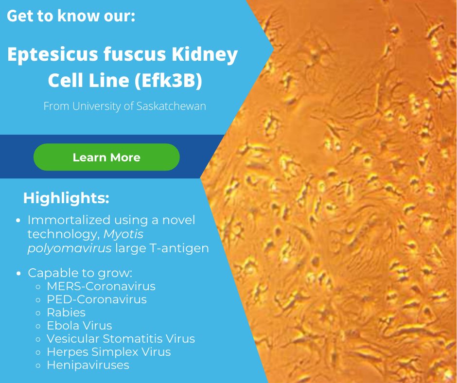 Kerafast tweet media