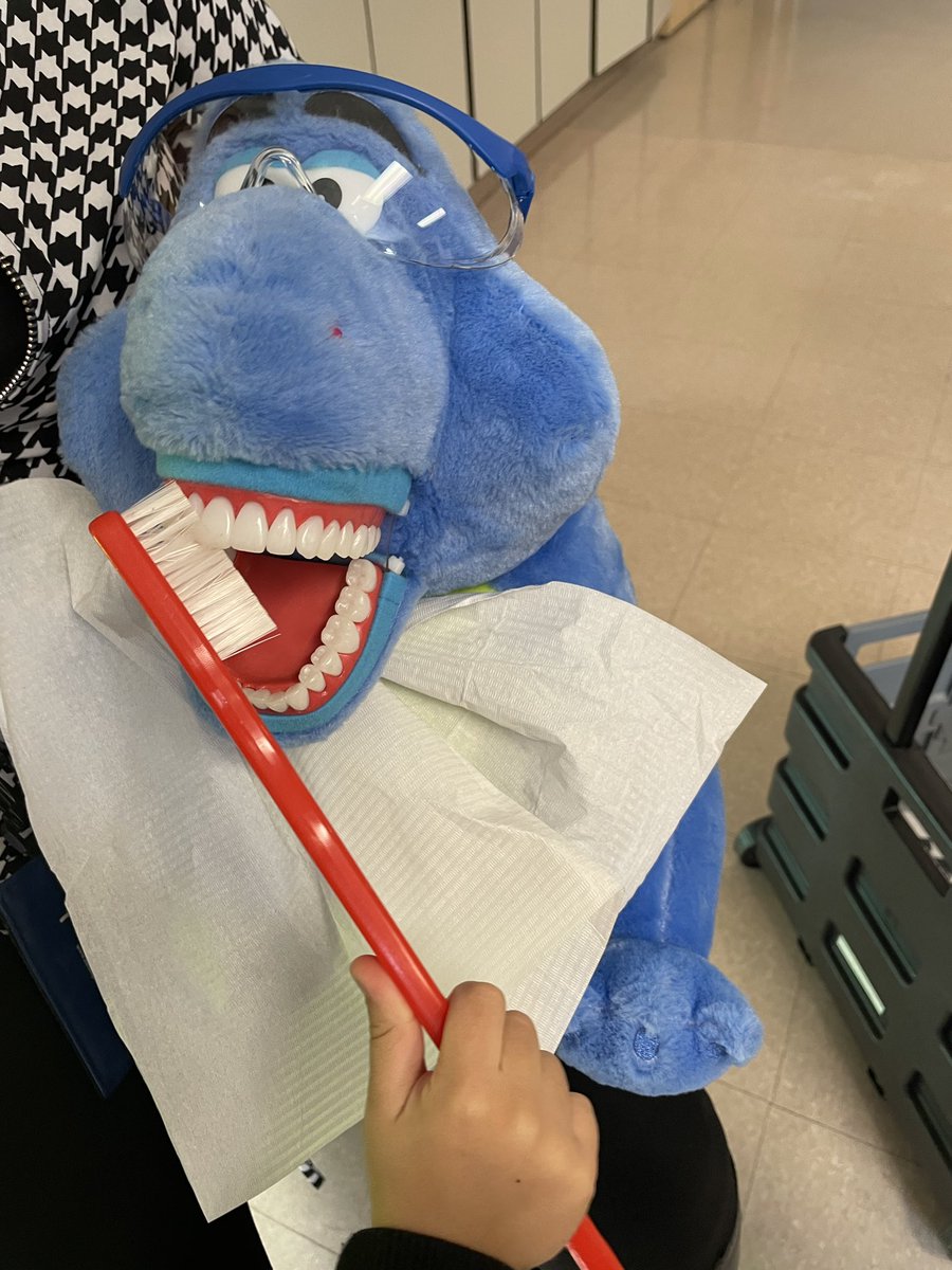 Starting our morning off the right way. We are learning how to properly brush our teeth.