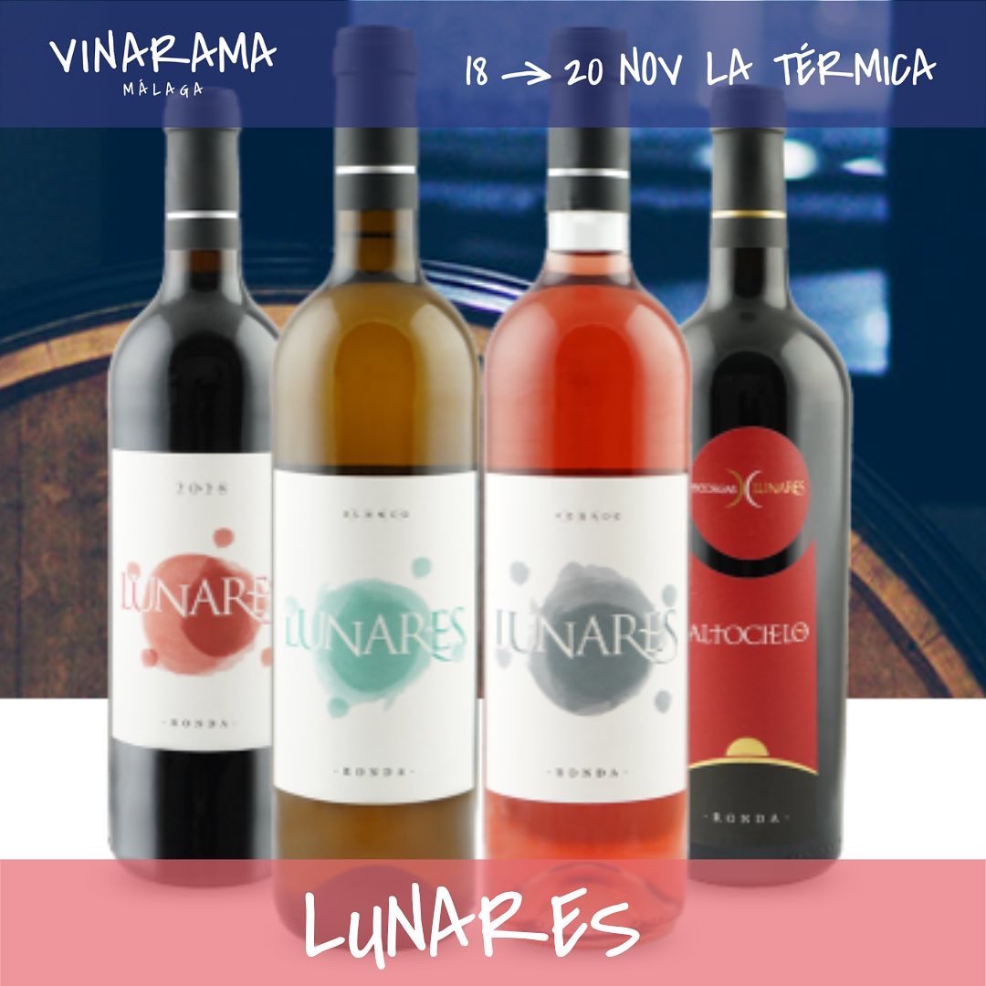 Vinos de Málaga tweet media