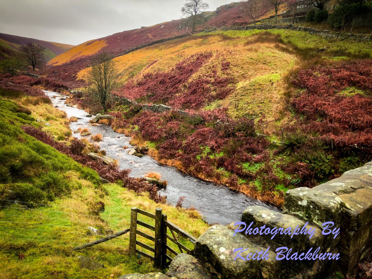 keith blackburn (@tannermoon56) on Twitter photo Hardcastle Autumn colours <a href="/VisitYNT/">YorksNatureTourism</a> <a href="/Welcome2Yorks/">Welcome to Yorkshire</a> <a href="/NaturalEngland/">Natural England</a> @WoodlandTrust Hardcastle Autumn colours <a href="/VisitYNT/">YorksNatureTourism</a> <a href="/Welcome2Yorks/">Welcome to Yorkshire</a> <a href="/NaturalEngland/">Natural England</a> @WoodlandTrust