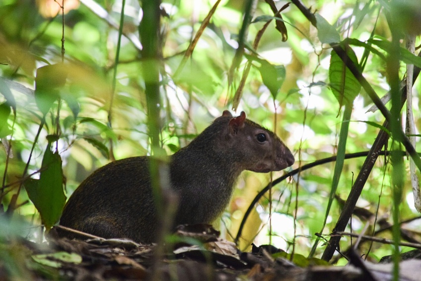 Crowther Lab tweet media