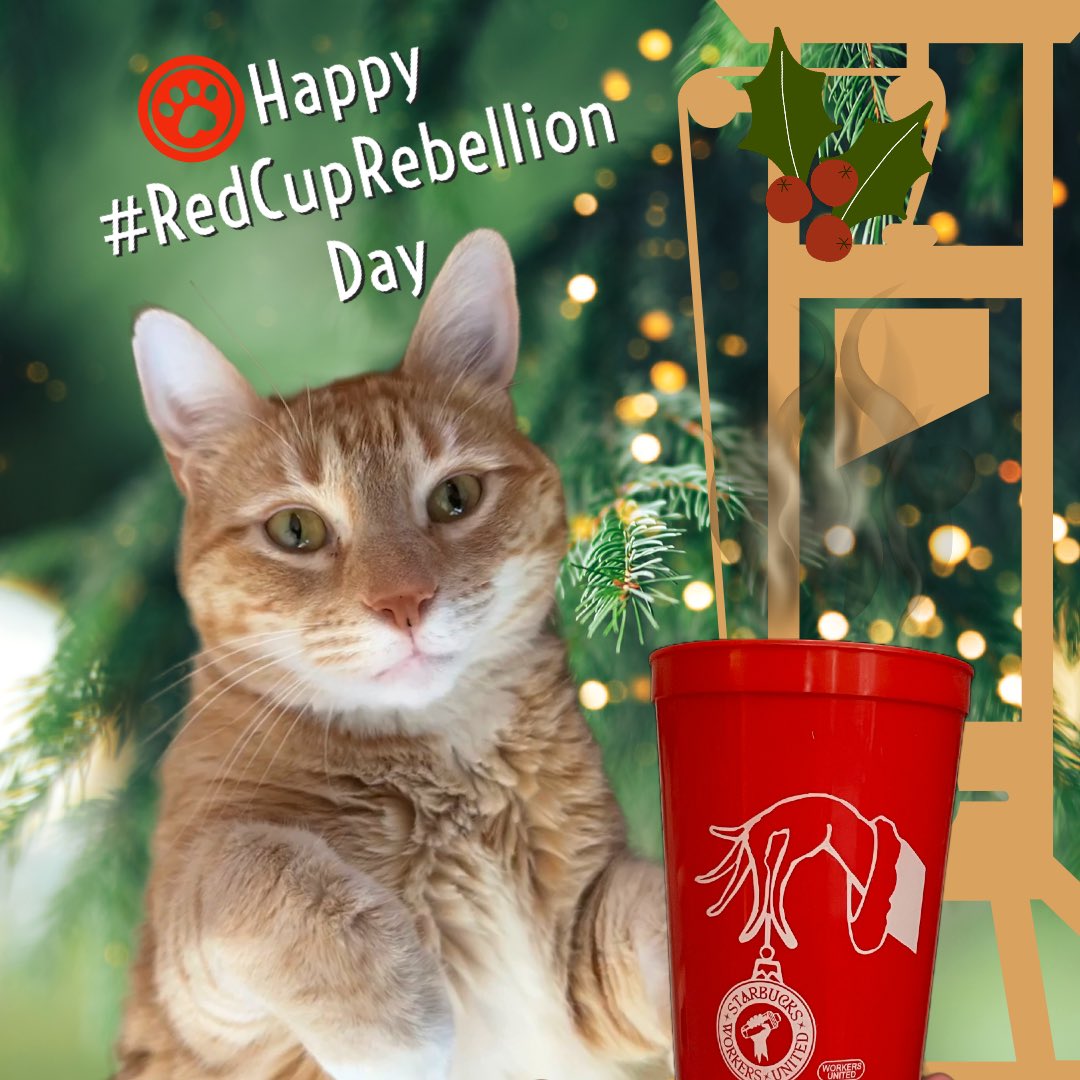 ITS RED CUP REBELLION DAY! Find your local store and show support! #redcuprebellion