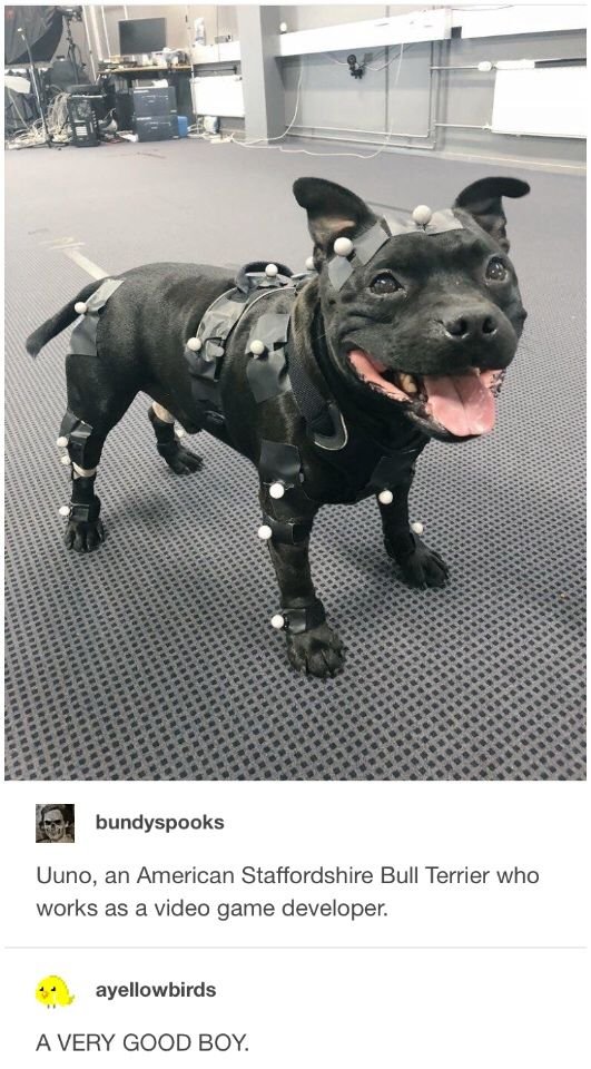 WholesomeMeme's tweet photo. https://t.co/sJTzKh9UAs