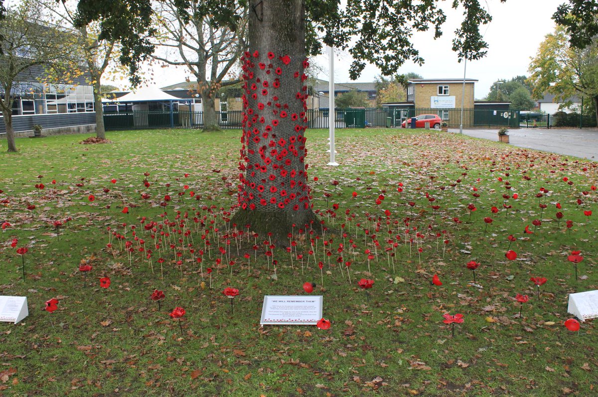 Kentish Express (@kentishexpress) on Twitter photo There was a beautiful installation of poppies at the front of <a href="/TowersSchool/">Towers School</a> this year. Each piece was made by a pupil ๐ There was a beautiful installation of poppies at the front of <a href="/TowersSchool/">Towers School</a> this year. Each piece was made by a pupil ๐