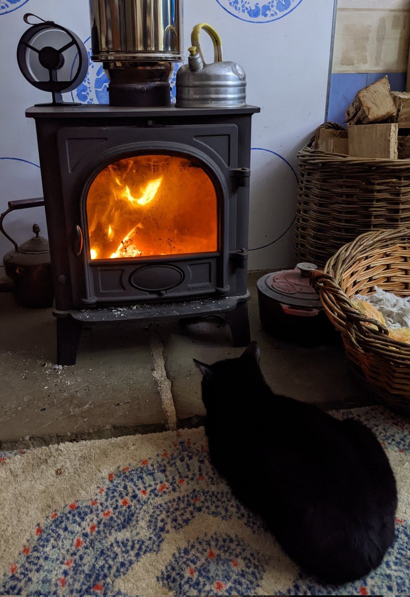 Bought a fan for the wood burner. Johnny approves
#woodburnerfan #rainyweather #woodburningstove #johnnyvibes #norfolklife