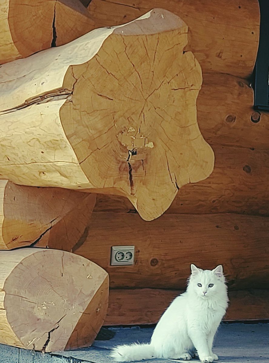 CrafterLog tweet picture