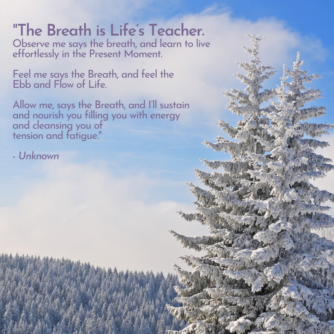 PPFlowyoga's tweet photo. The Breath is Life's Teacher.

#breathing #wellness #inspiration #quote #breathe #listening https://t.co/504XKtkeeb