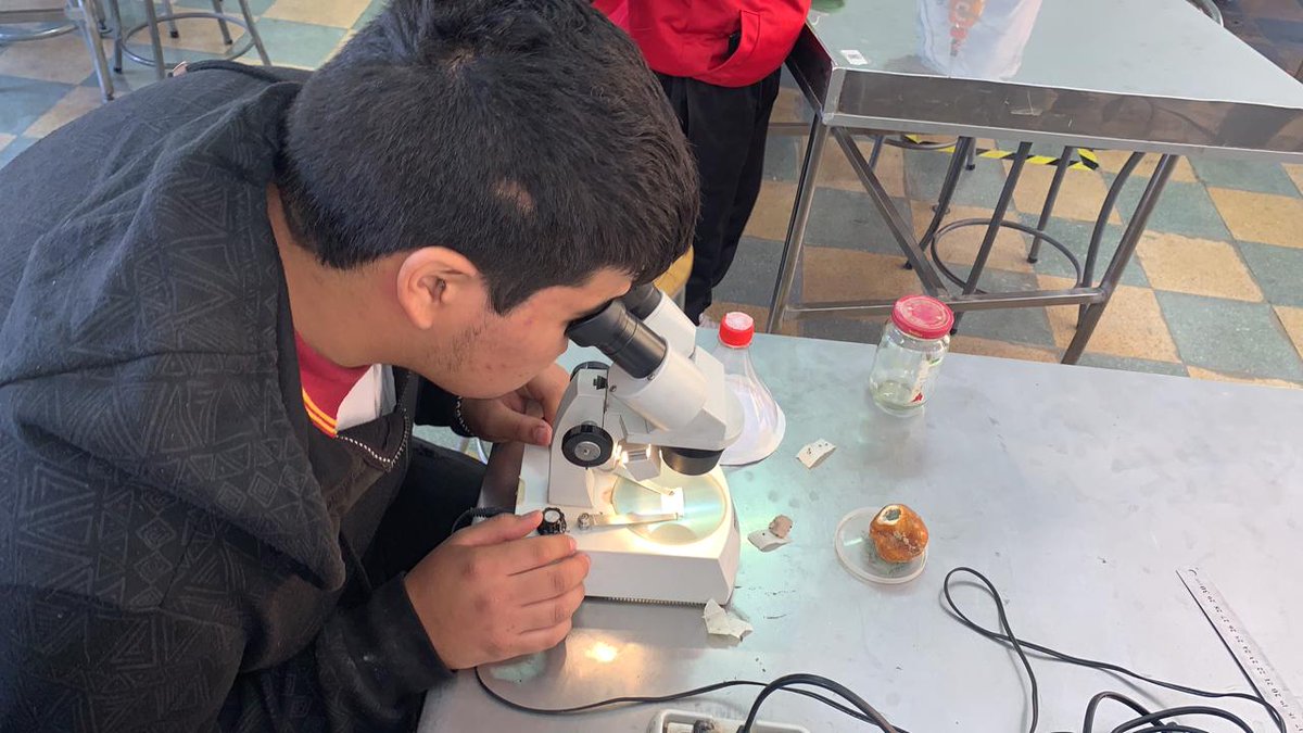 ICEC_UChile's tweet photo. Estamos en la clase de ciencias del 3° medio del Liceo Palomar - Copiapó, con el docente Leonel Ardiles. Los estudiantes están reconociendo algunos microorganismos utilizando instrumentos de laboratorio.  #ComunidaddeAprendizaje @Programa_ICEC @Edu_Atacama  @ciae_uchile 🔎🦠 https://t.co/6rICgaWlSb