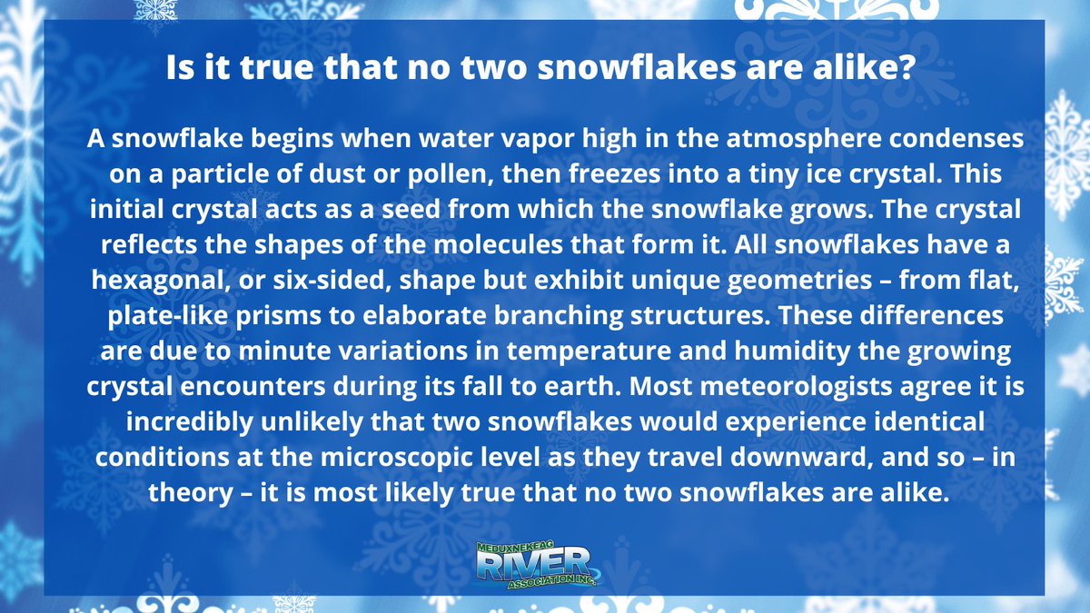 It's good to learn something new everyday! ❄️