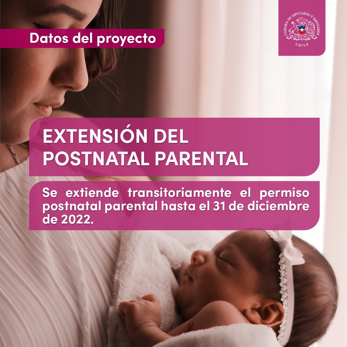 Camara_cl's tweet photo. 🤓#DatosdelProyecto
🍼#ExtensiónPostnatalParental👩👧
👉Aquí te explicamos en qué consiste la nueva norma aprobada por el Congreso Nacional y quiénes podrán acceder al beneficio 😉
💻Para más información, visita https://t.co/bcfTQRJKQA https://t.co/clwU1Bu6Ax