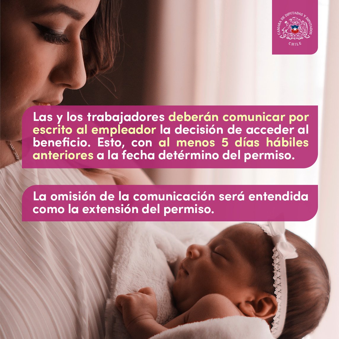 Camara_cl's tweet photo. 🤓#DatosdelProyecto
🍼#ExtensiónPostnatalParental👩👧
👉Aquí te explicamos en qué consiste la nueva norma aprobada por el Congreso Nacional y quiénes podrán acceder al beneficio 😉
💻Para más información, visita https://t.co/bcfTQRJKQA https://t.co/clwU1Bu6Ax