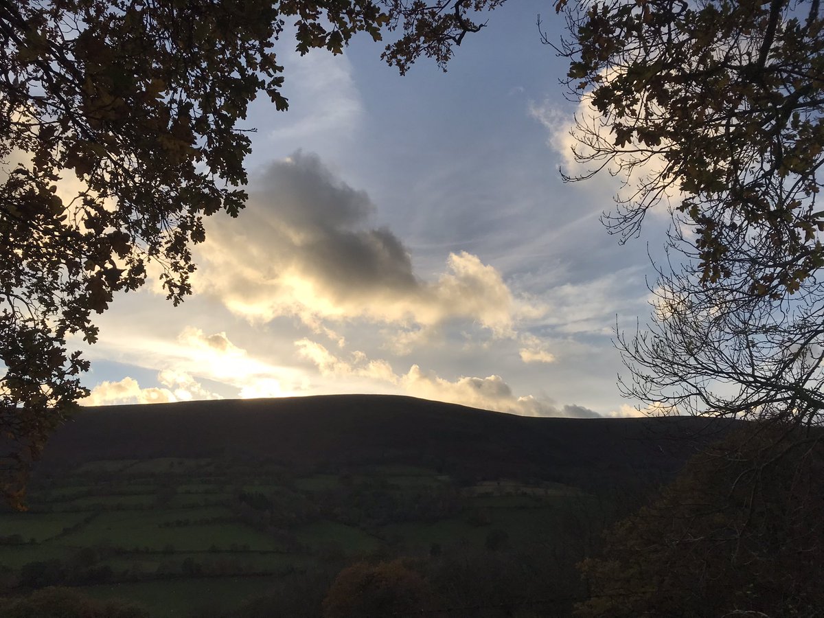 EdDickson7's tweet image. 